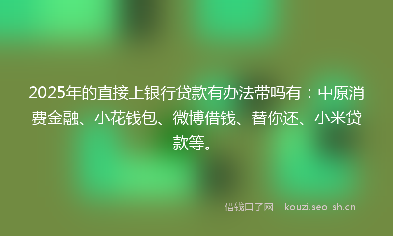 2025年的直接上银行贷款有办法带吗有：中原消费金融、小花钱包、微博借钱、替你还、小米贷款等。