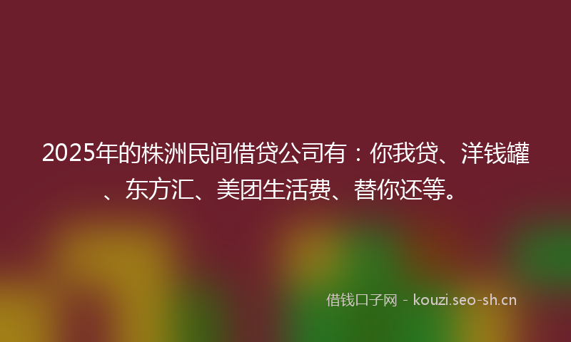 2025年的株洲民间借贷公司有：你我贷、洋钱罐、东方汇、美团生活费、替你还等。
