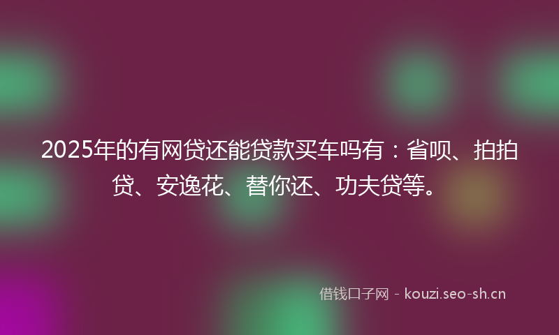 2025年的有网贷还能贷款买车吗有：省呗、拍拍贷、安逸花、替你还、功夫贷等。