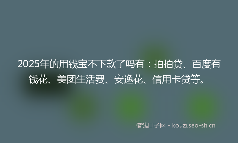 2025年的用钱宝不下款了吗有：拍拍贷、百度有钱花、美团生活费、安逸花、信用卡贷等。