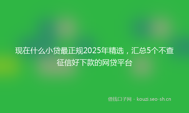 现在什么小贷最正规2025年精选，汇总5个不查征信好下款的网贷平台
