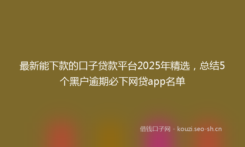 最新能下款的口子贷款平台2025年精选，总结5个黑户逾期必下网贷app名单