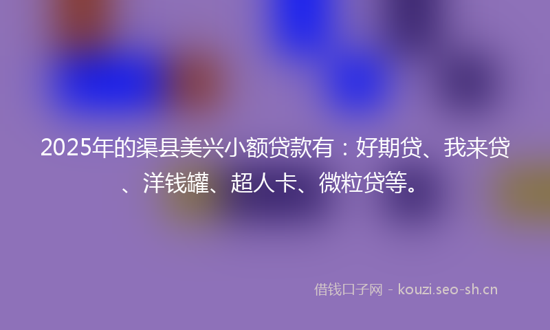 2025年的渠县美兴小额贷款有：好期贷、我来贷、洋钱罐、超人卡、微粒贷等。