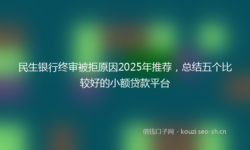 民生银行终审被拒原因2025年推荐，总结五个比较好的小额贷款平台