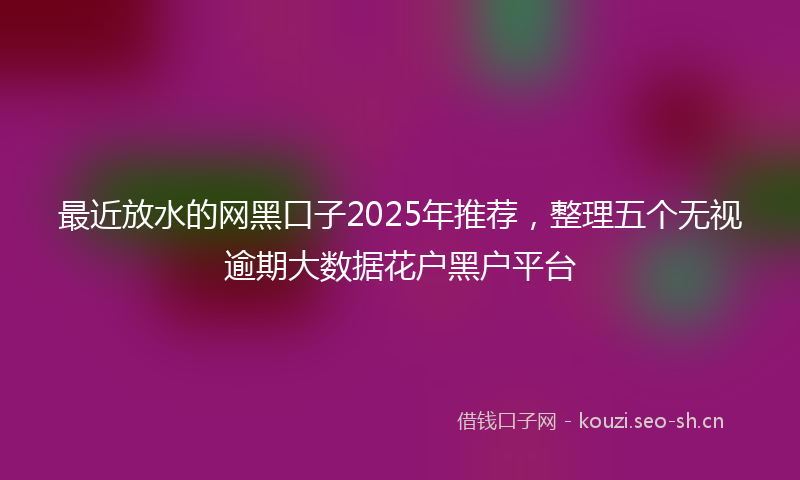最近放水的网黑口子2025年推荐，整理五个无视逾期大数据花户黑户平台