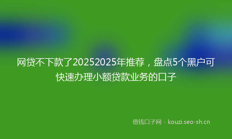 网贷不下款了20252025年推荐，盘点5个黑户可快速办理小额贷款业务的口子