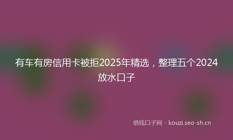 有车有房信用卡被拒2025年精选，整理五个2024放水口子