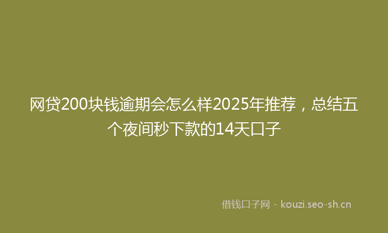网贷200块钱逾期会怎么样2025年推荐，总结五个夜间秒下款的14天口子