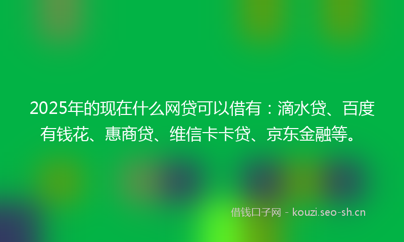 2025年的现在什么网贷可以借有:滴水贷、百度有钱花、惠商贷、维信卡卡贷、京东金融等。