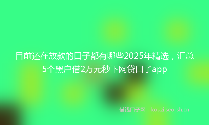 目前还在放款的口子都有哪些2025年精选，汇总5个黑户借2万元秒下网贷口子app