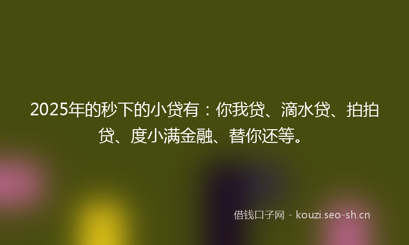 2025年的秒下的小贷有：你我贷、滴水贷、拍拍贷、度小满金融、替你还等。