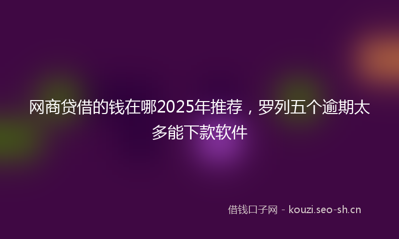网商贷借的钱在哪2025年推荐，罗列五个逾期太多能下款软件
