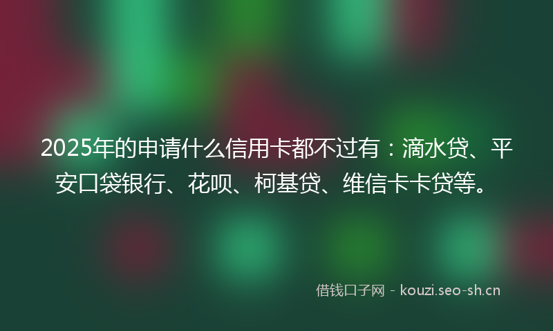 2025年的申请什么信用卡都不过有：滴水贷、平安口袋银行、花呗、柯基贷、维信卡卡贷等。