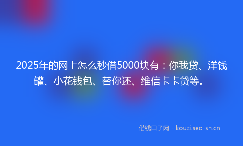 2025年的网上怎么秒借5000块有：你我贷、洋钱罐、小花钱包、替你还、维信卡卡贷等。