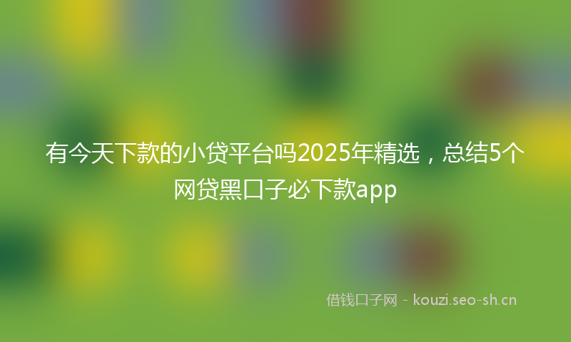 有今天下款的小贷平台吗2025年精选，总结5个网贷黑口子必下款app