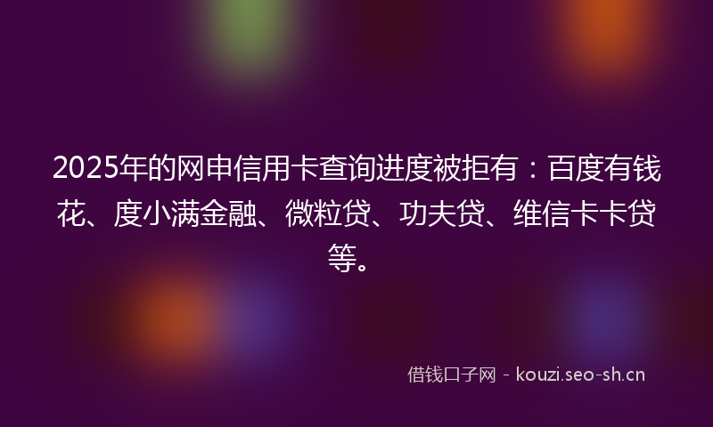 2025年的网申信用卡查询进度被拒有：百度有钱花、度小满金融、微粒贷、功夫贷、维信卡卡贷等。