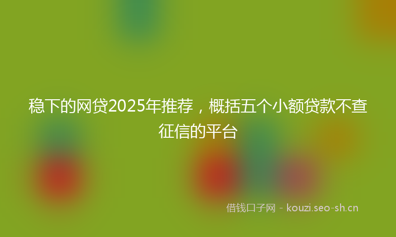 稳下的网贷2025年推荐，概括五个小额贷款不查征信的平台