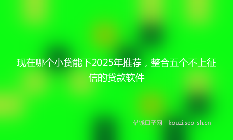 现在哪个小贷能下2025年推荐，整合五个不上征信的贷款软件