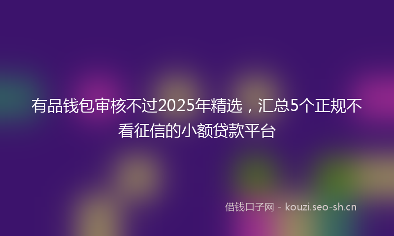 有品钱包审核不过2025年精选，汇总5个正规不看征信的小额贷款平台