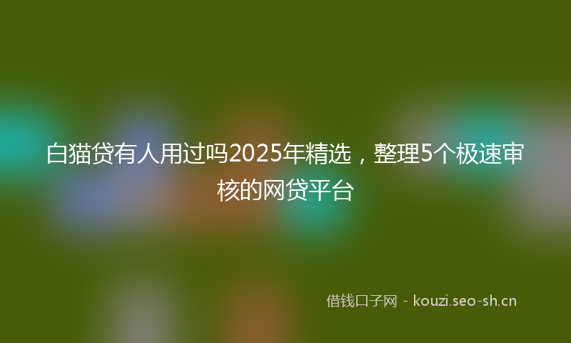 白猫贷有人用过吗2025年精选，整理5个极速审核的网贷平台