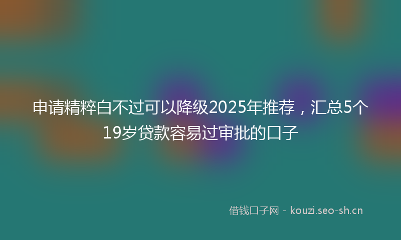 申请精粹白不过可以降级2025年推荐，汇总5个19岁贷款容易过审批的口子