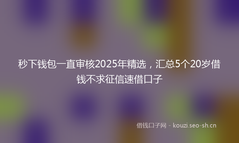 秒下钱包一直审核2025年精选，汇总5个20岁借钱不求征信速借口子