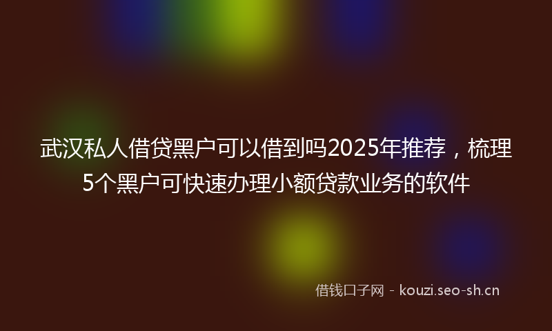武汉私人借贷黑户可以借到吗2025年推荐，梳理5个黑户可快速办理小额贷款业务的软件