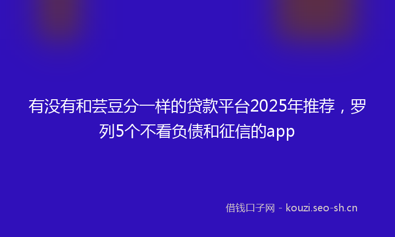 有没有和芸豆分一样的贷款平台2025年推荐，罗列5个不看负债和征信的app