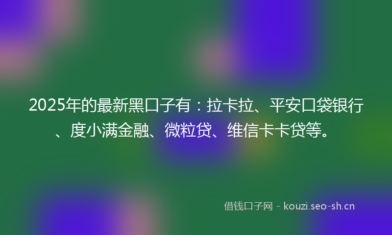 2025年的最新黑口子有：拉卡拉、平安口袋银行、度小满金融、微粒贷、维信卡卡贷等。