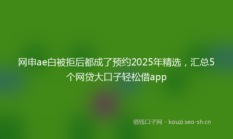 网申ae白被拒后都成了预约2025年精选，汇总5个网贷大口子轻松借app