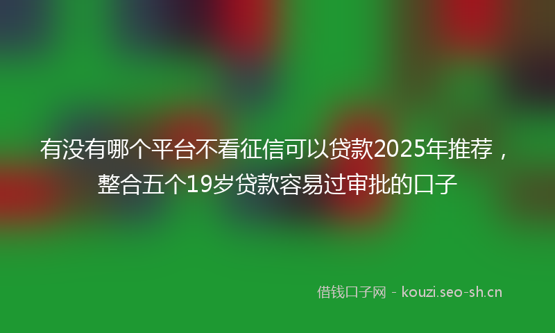 有没有哪个平台不看征信可以贷款2025年推荐，整合五个19岁贷款容易过审批的口子