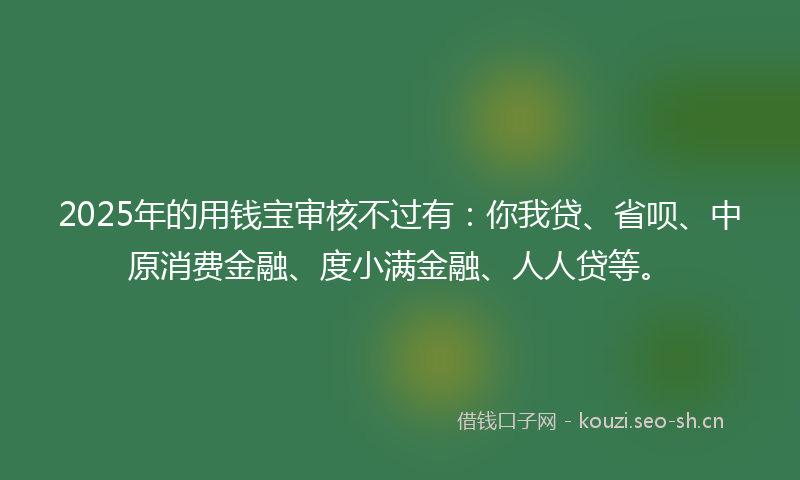 2025年的用钱宝审核不过有：你我贷、省呗、中原消费金融、度小满金融、人人贷等。