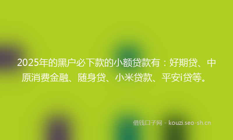 2025年的黑户必下款的小额贷款有：好期贷、中原消费金融、随身贷、小米贷款、平安i贷等。