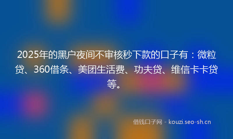 2025年的黑户夜间不审核秒下款的口子有：微粒贷、360借条、美团生活费、功夫贷、维信卡卡贷等。