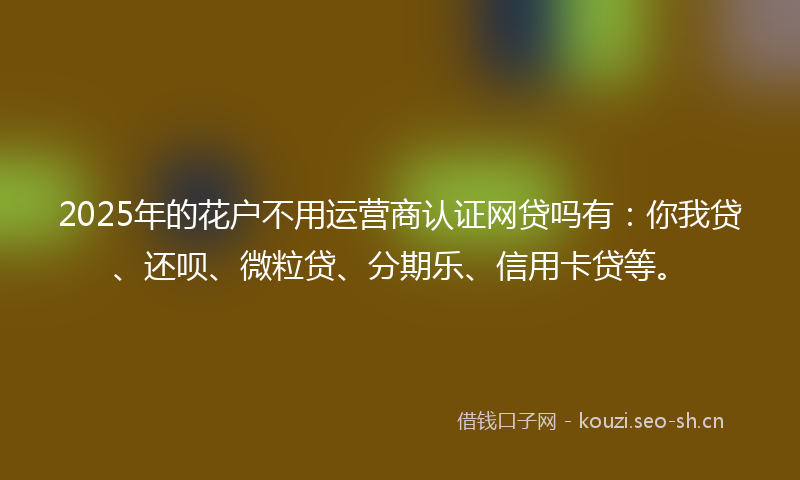 2025年的花户不用运营商认证网贷吗有：你我贷、还呗、微粒贷、分期乐、信用卡贷等。
