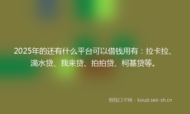 2025年的还有什么平台可以借钱用有：拉卡拉、滴水贷、我来贷、拍拍贷、柯基贷等。