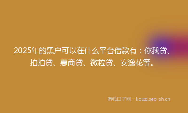 2025年的黑户可以在什么平台借款有：你我贷、拍拍贷、惠商贷、微粒贷、安逸花等。