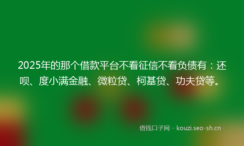 2025年的那个借款平台不看征信不看负债有：还呗、度小满金融、微粒贷、柯基贷、功夫贷等。