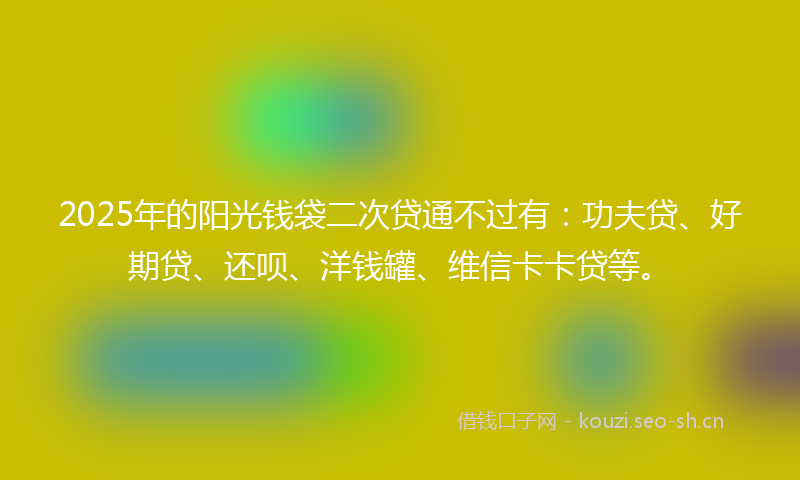 2025年的阳光钱袋二次贷通不过有：功夫贷、好期贷、还呗、洋钱罐、维信卡卡贷等。