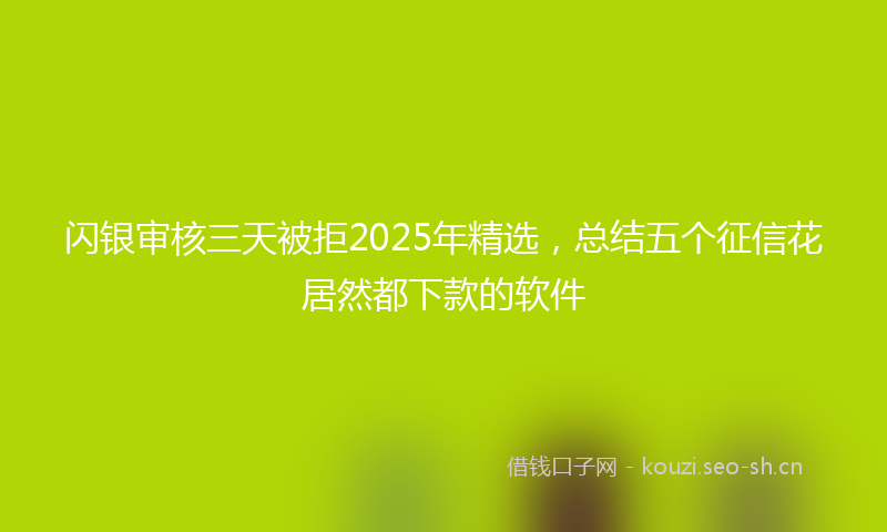 闪银审核三天被拒2025年精选，总结五个征信花居然都下款的软件