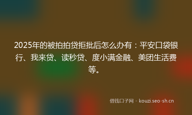 2025年的被拍拍贷拒批后怎么办有：平安口袋银行、我来贷、读秒贷、度小满金融、美团生活费等。