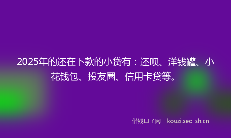 2025年的还在下款的小贷有：还呗、洋钱罐、小花钱包、投友圈、信用卡贷等。