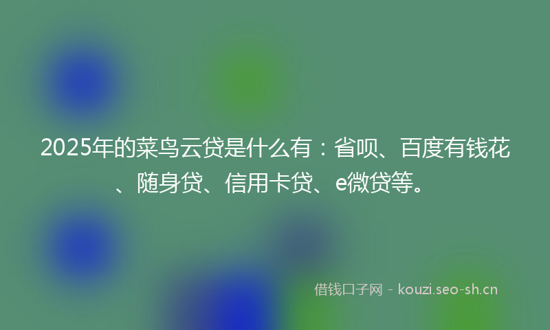2025年的菜鸟云贷是什么有：省呗、百度有钱花、随身贷、信用卡贷、e微贷等。
