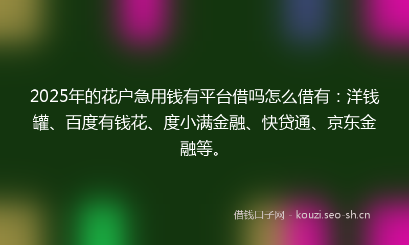 2025年的花户急用钱有平台借吗怎么借有：洋钱罐、百度有钱花、度小满金融、快贷通、京东金融等。