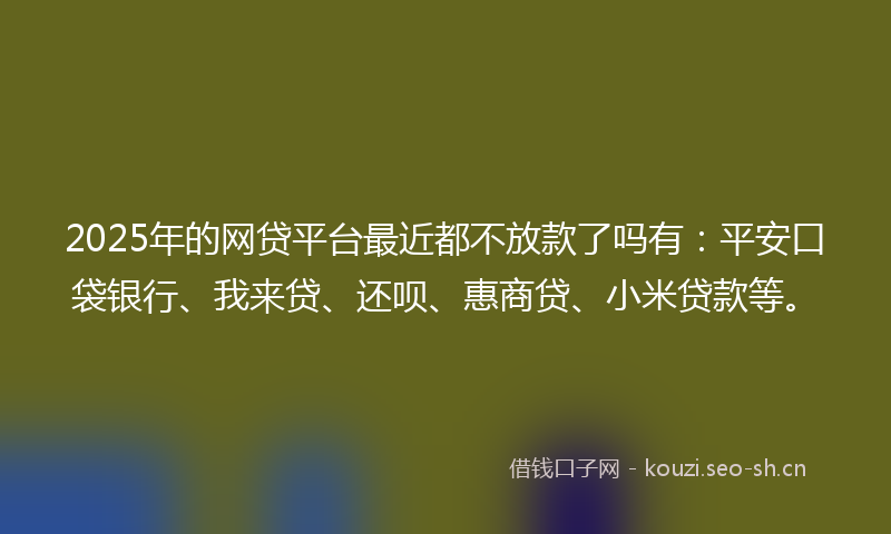 2025年的网贷平台最近都不放款了吗有：平安口袋银行、我来贷、还呗、惠商贷、小米贷款等。