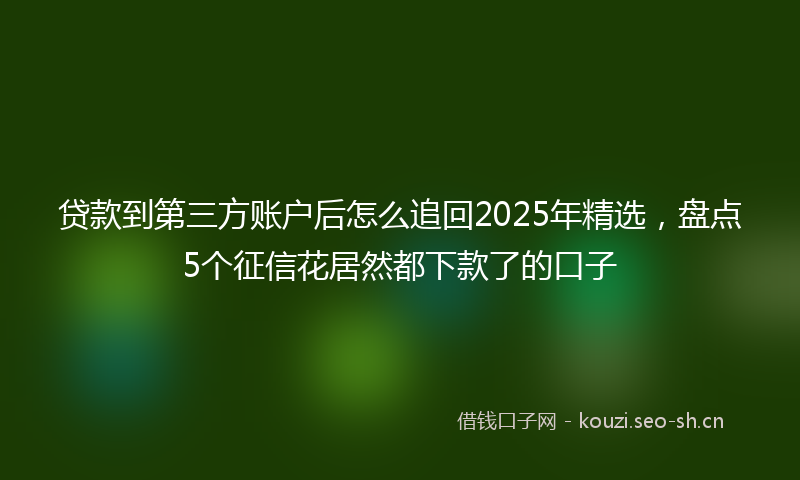 贷款到第三方账户后怎么追回2025年精选，盘点5个征信花居然都下款了的口子