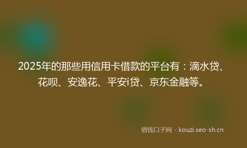 2025年的那些用信用卡借款的平台有：滴水贷、花呗、安逸花、平安i贷、京东金融等。