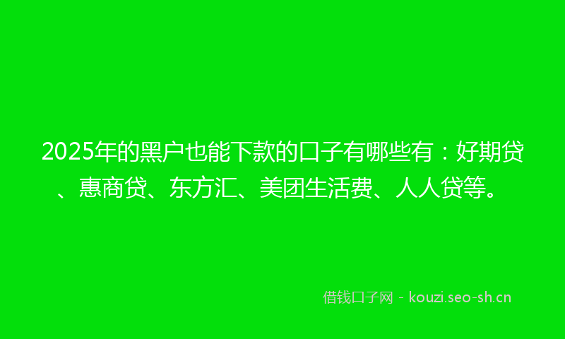 2025年的黑户也能下款的口子有哪些有：好期贷、惠商贷、东方汇、美团生活费、人人贷等。