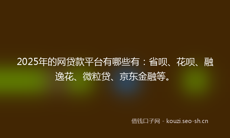 2025年的网贷款平台有哪些有：省呗、花呗、融逸花、微粒贷、京东金融等。