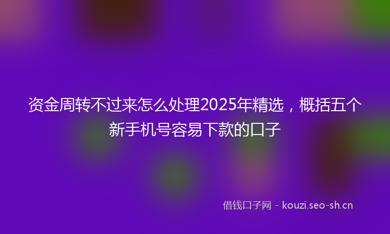 资金周转不过来怎么处理2025年精选，概括五个新手机号容易下款的口子